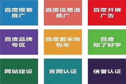 百度推广服务费案例：揭秘大品牌推广成功秘诀